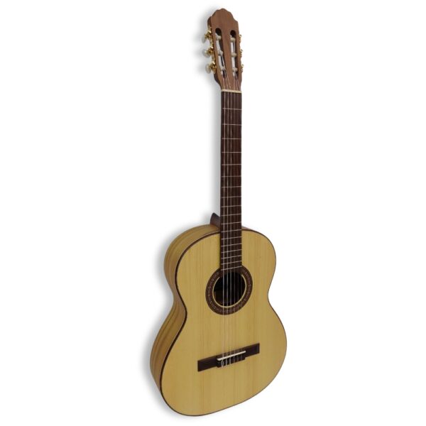 Guitarra Teca